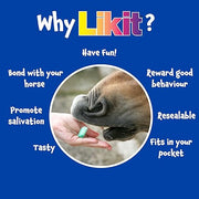 Likit Treat Bar 90g | Great Horse Treat for Training or Reward | 90g (Mint)