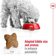 Royal Canin Mini Adult 4kg Dry Dog Food