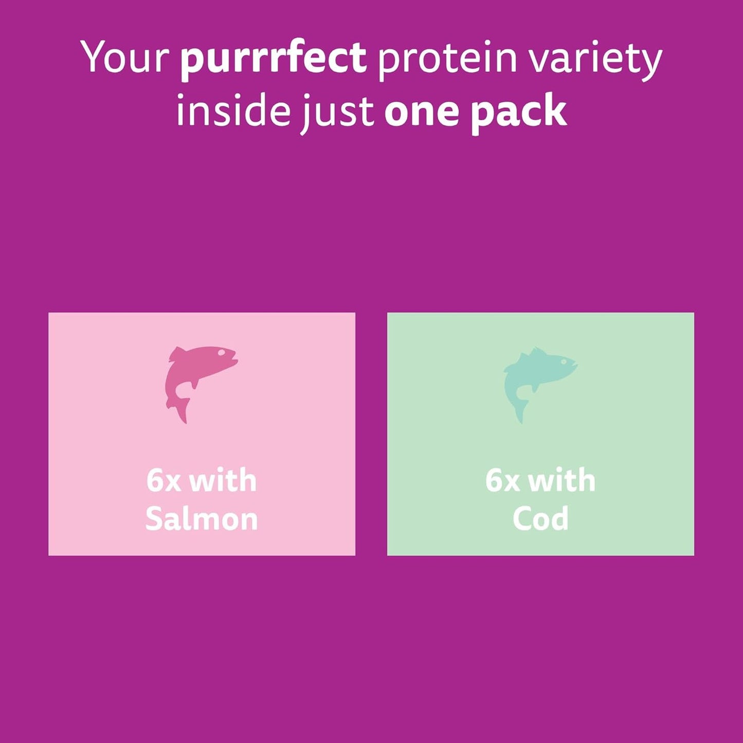 WHISKAS Senior 11+ Wet Cat Food in Jelly 12x85g Fish Favourites (Pack of 4)