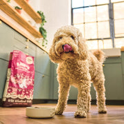 Lily's Kitchen Made with Natural Ingredients Adult Dry Dog Food Duck Salmon & Venison Grain-Free Recipe 12kg