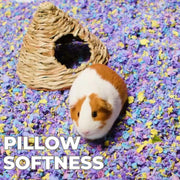 Premium Small Animal Bedding – 10L, Super Soft, 10-Day Odour Control, 2X Absorbent, Dust-Free, Eco-Friendly Bedding for Rabbits, Guinea Pigs, Hamsters & Other Small Pets (Tropical Fruits - 10L)