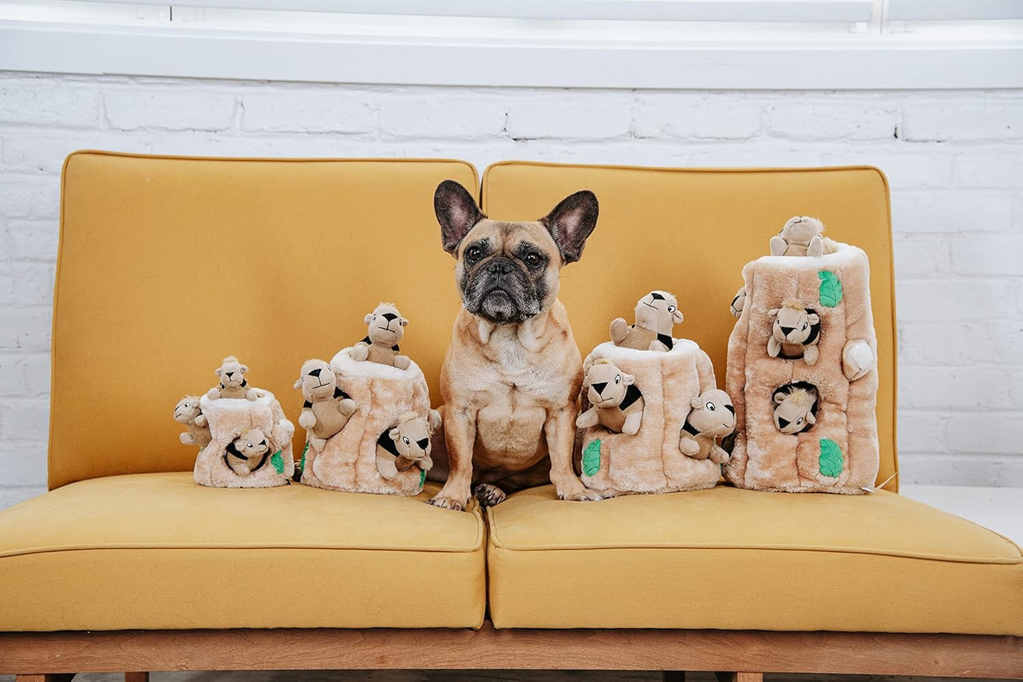 Outward Hound Squirrel Dog Toy - Plush Hide & Seek - For Birthday Fun, Mental Stimulation, Boredom & Enrichment - Interactive, Age, Breeds - Dog Squeaky Toy (Small)