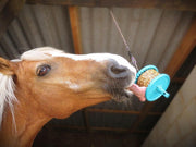 Likit Granola Multigrain Horse Treat 550g | Long Lasting, Boredom & Stress Reliever | 550g