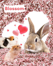 BUCATSTATE Hamster Bedding 70L, 99% Dust-Free Guinea Pig Paper Bedding Odor Control Paper Bedding, Cozy Small Animal Bedding for Rabbit Rat Syrian Dwarf Hamsters Gerbils (Blossom)