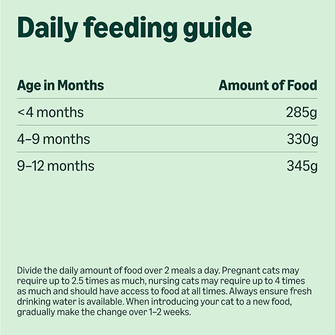 Complete Wet Food for Kittens, Mixed Selection in Jelly, 1.2kg (12 pouches of 100g)