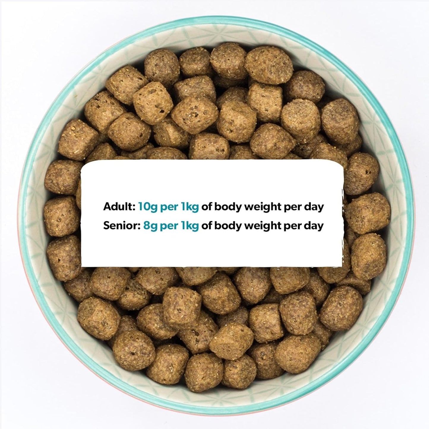 Burns Pet Nutrition Hypoallergenic Complete Dry Dog Food Adult and Senior Dog Sensitive with Pork and Potato 12 kg