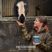 Hilton Herballs No. 2 Turmeric & Ginger All-Natural Horse Treats. Tasty Treats or Rewards for Horses and Ponies. No Additives or Fillers. Molasses-Free. 100% Natural Ingredients. 2kg Bag. Made in UK.