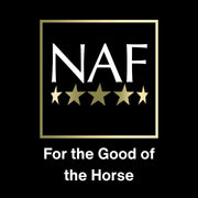 NAF Himalayan Salt Lick Medium – 100% Natural Rock Salt for Horses – Rich in Trace Minerals – Supports Hydration, Electrolyte Balance & Overall Health
