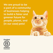 Applaws Complete Natural and Grain Free Dry Adult Cat Food, Chicken, 2 kg Bag