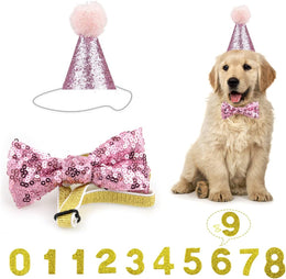 Dog Birthday Hat, Reusable Dog Cat Party Hat with Bow Tie Collar and Blue Number for Pet Puppy Cat Birthday Party Decorations, Pet Costumes Headwear Accessories (Pink)