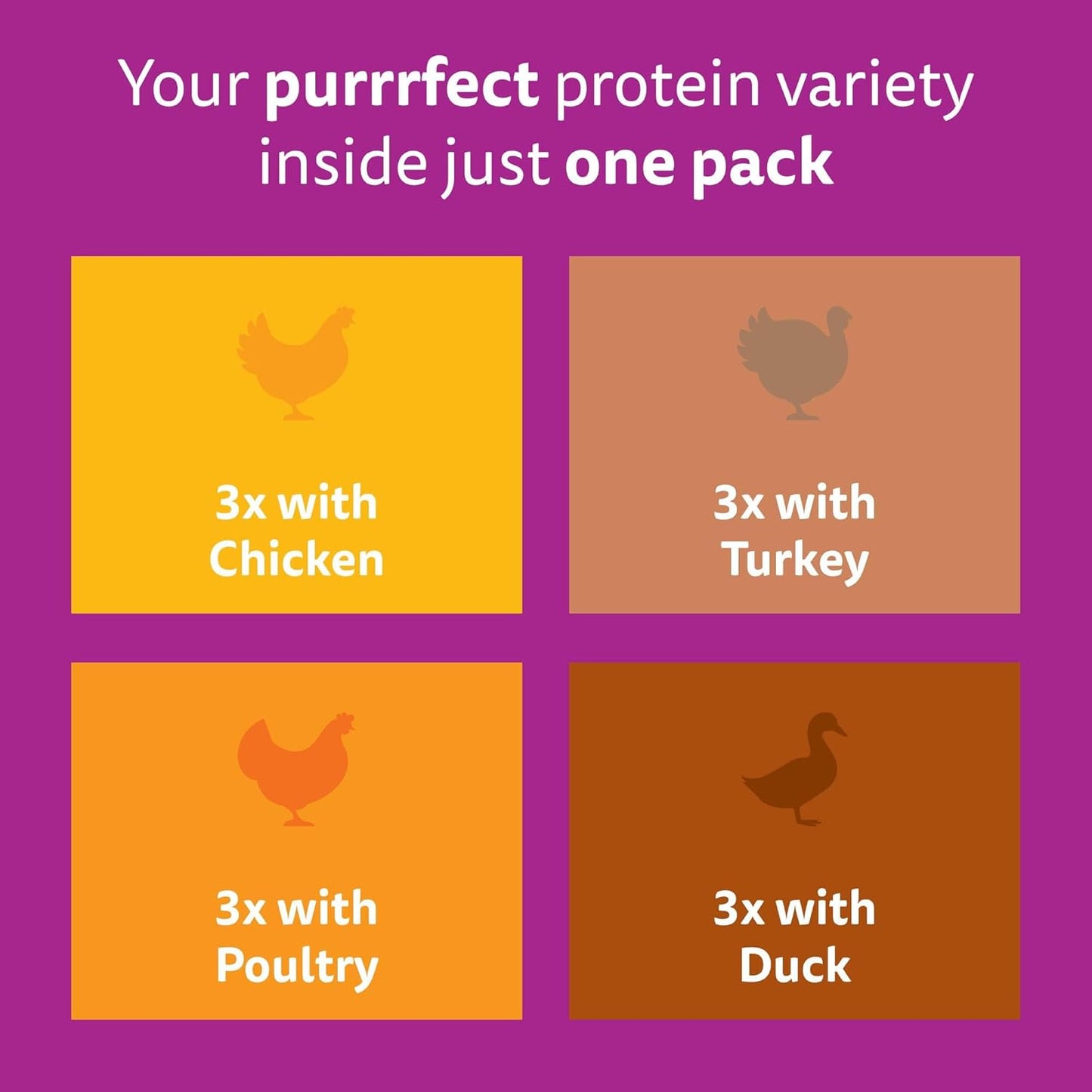 Whiskas Junior Poultry Selection in Jelly 48 x 85 g Pouches, Kitten Cat Food, Pack of 4 (12 x 85 g)