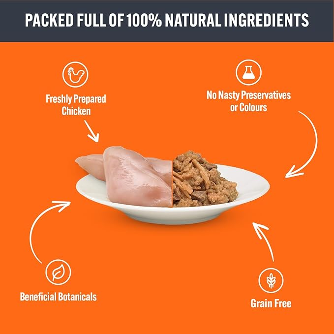 HiLife It's Only Natural Cat Pouch Multipack The Big Chicken One In Jelly 32x70g