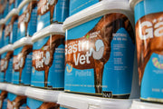 NAF Five Star GastriVet 2kg – Advanced Gastric Supplement for Horses – Supports Stomach Lining, Gut Health & pH Balance – With Prebiotics, Probiotics & Postbiotics