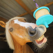 Likit Horse Treat Apple Large Refill 650g | Tasty Horse Treat, Reduce your Horse's Boredom & Stress | Apple