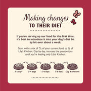 Lily's Kitchen Made with Natural Ingredients Adult Dry Dog Food Duck Salmon & Venison Grain-Free Recipe 12kg