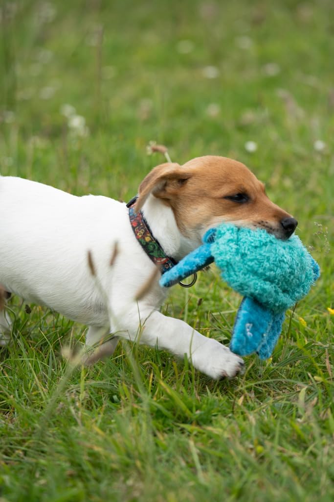 Petface (Little Petface) Talulah Turtle Plush Puppy Dog Toy with Built-In-Squeaker (Pack of 1)