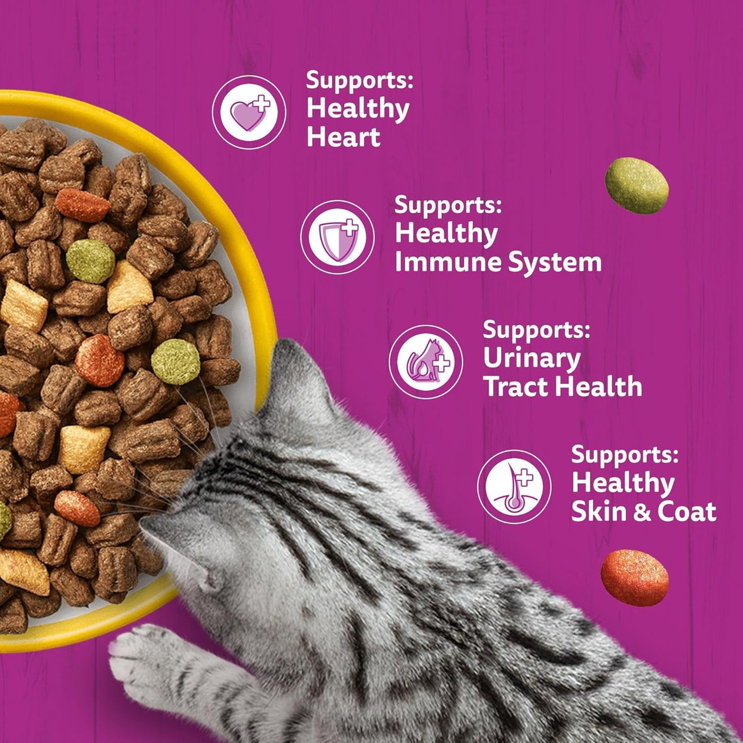 WHISKAS Senior Dry Cat Food 1.9kg with Chicken (Pack of 4)