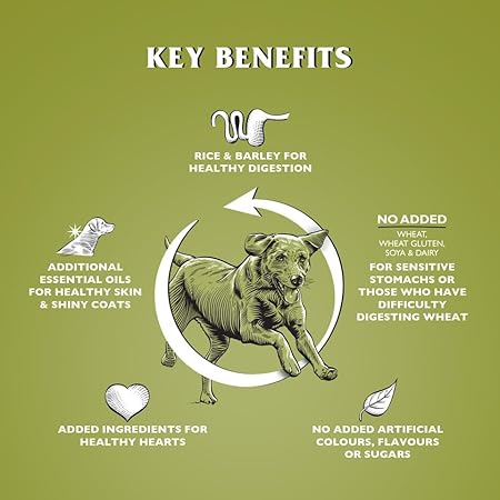 Dr John Wheat-Free Hypoallergenic Dry Dog Food - Lamb with Rice Dog Food 12.5kg - Complete Nutrition for Adult and Senior Dogs with Sensitive Digestion