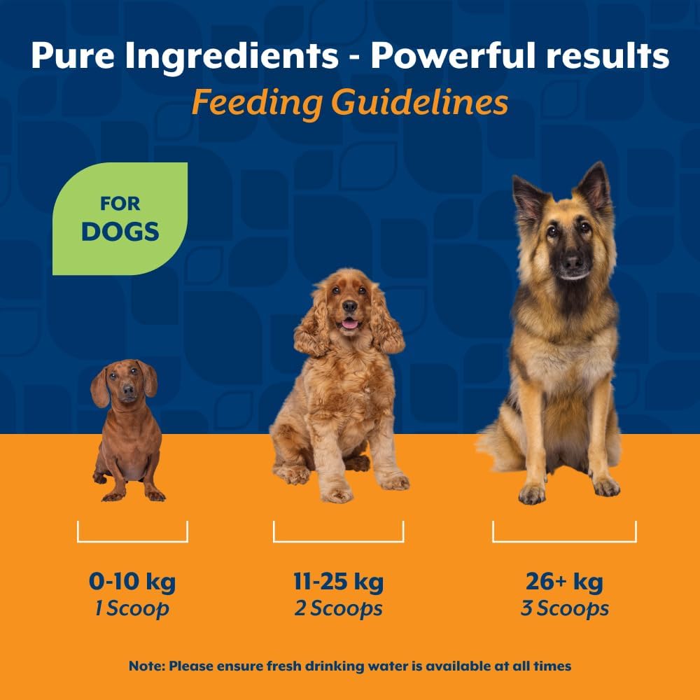 NaturVet Pure Pumpkin Powder for Dogs – 225g 100% Natural, Rich in Prebiotics High-Fibre Digestive Support for Firm Stools & Gut Health – Additive-Free