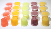 Jelly Fruit Pots for Reptiles, Protein Jelly Fruit Cups for Lizards, Geckos, Insects, Birds, Parrots, Bulk Packs (Fruit Mix, 20)