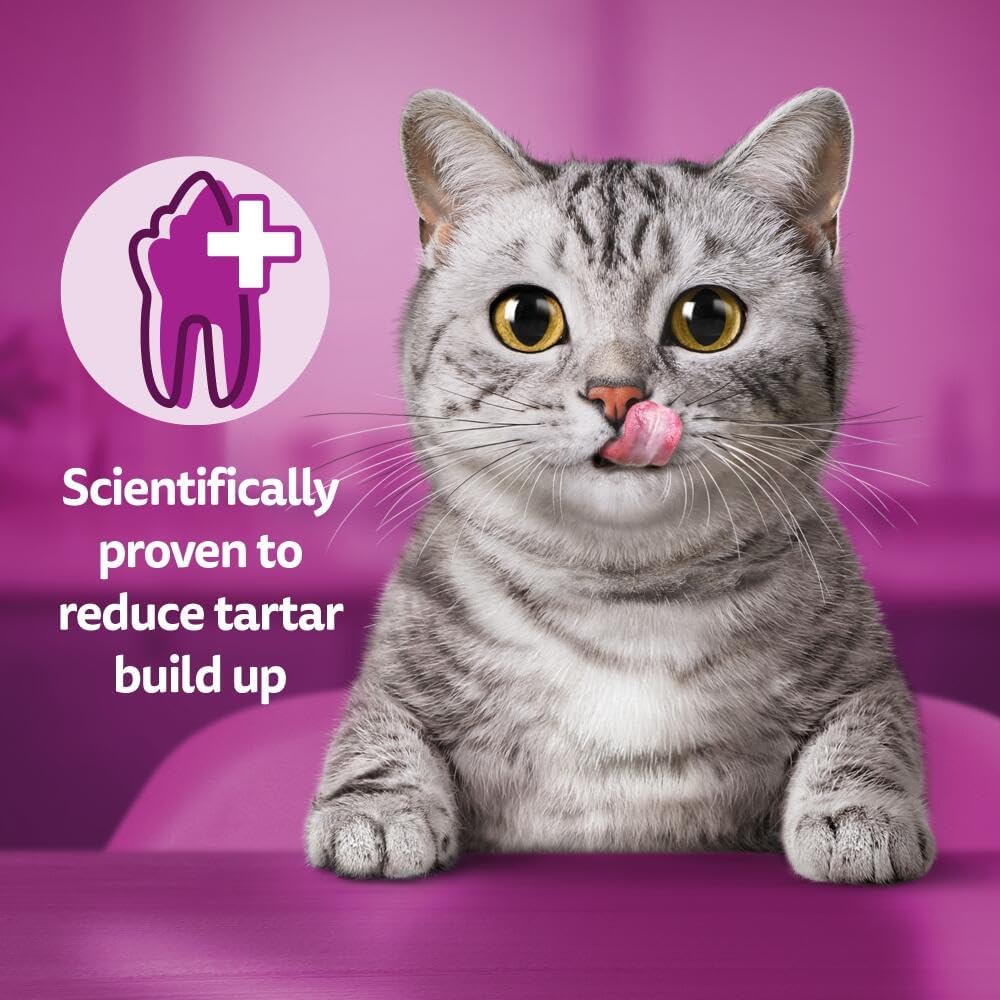 Whiskas Dentabites Cat Treats with Tasty Chicken - Oral Health Support for Cats 40 g (Pack of 6)