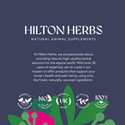 Hilton Herballs No. 2 Turmeric & Ginger All-Natural Horse Treats. Tasty Treats or Rewards for Horses and Ponies. No Additives or Fillers. Molasses-Free. 100% Natural Ingredients. 2kg Bag. Made in UK.