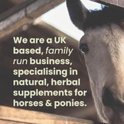 Cleavers & Marigold 1kg Bag | 100% Natural Feed Supplement for Horses & Ponies, Equine Clivers