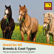 EPONA Tiger's Tongue Horse Groomer