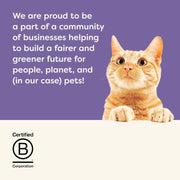 Applaws 100% Natural Adult Wet Cat Food, 12x70g Tins, Multipack Fish and Chicken Mixed Selection in Broth 70g Can