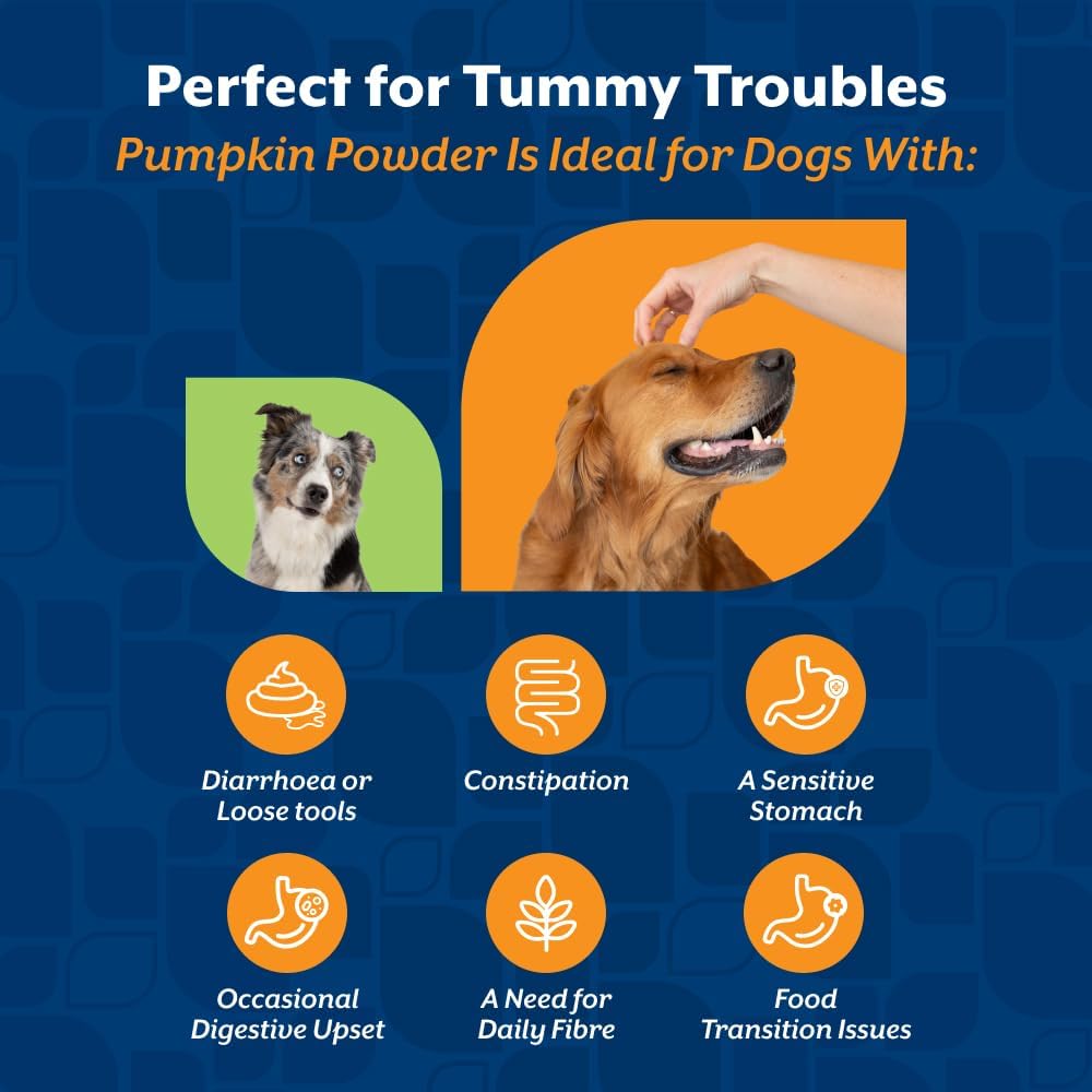 NaturVet Pure Pumpkin Powder for Dogs – 225g 100% Natural, Rich in Prebiotics High-Fibre Digestive Support for Firm Stools & Gut Health – Additive-Free