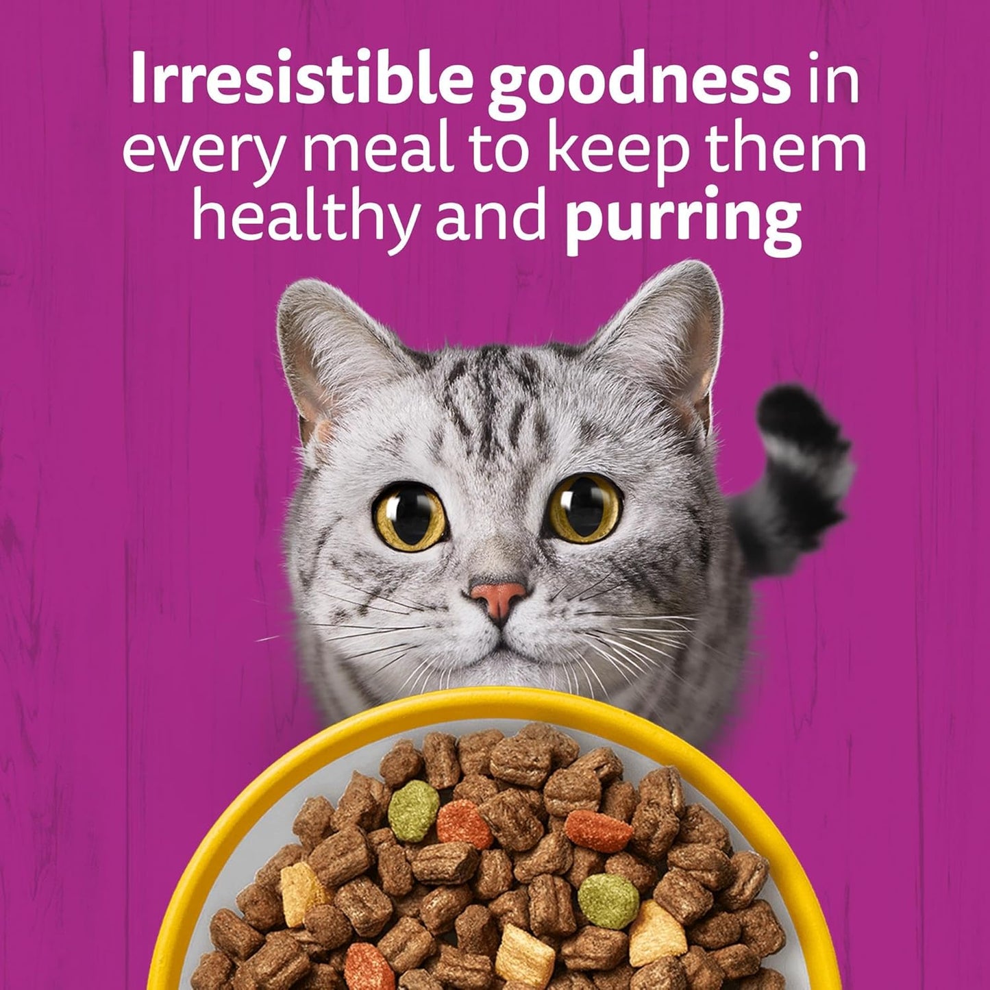 WHISKAS Senior Dry Cat Food 1.9kg with Chicken (Pack of 4)