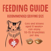 Scrumbles Chicken Krunchies, Pillow Cat Treats, 60g