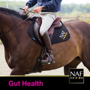 NAF Five Star GastriVet 2kg – Advanced Gastric Supplement for Horses – Supports Stomach Lining, Gut Health & pH Balance – With Prebiotics, Probiotics & Postbiotics