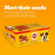 Pedigree Adult Dog Wet Food in Pouch, Mixed Selection in Jelly, 40x100g