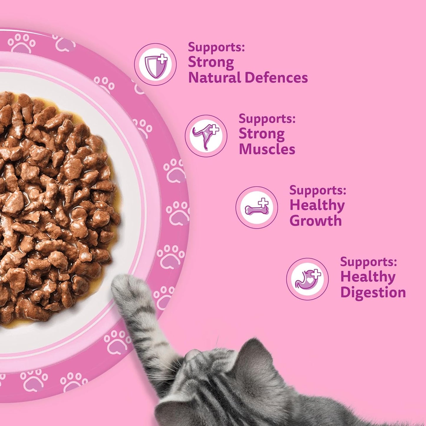 Whiskas Junior Classic Selection in Gravy 84 Pouches, Wet Kitten and Cat Food, Selection of Beef, Lamb, Chicken and Poultry, Megapack (84 x 85 g)