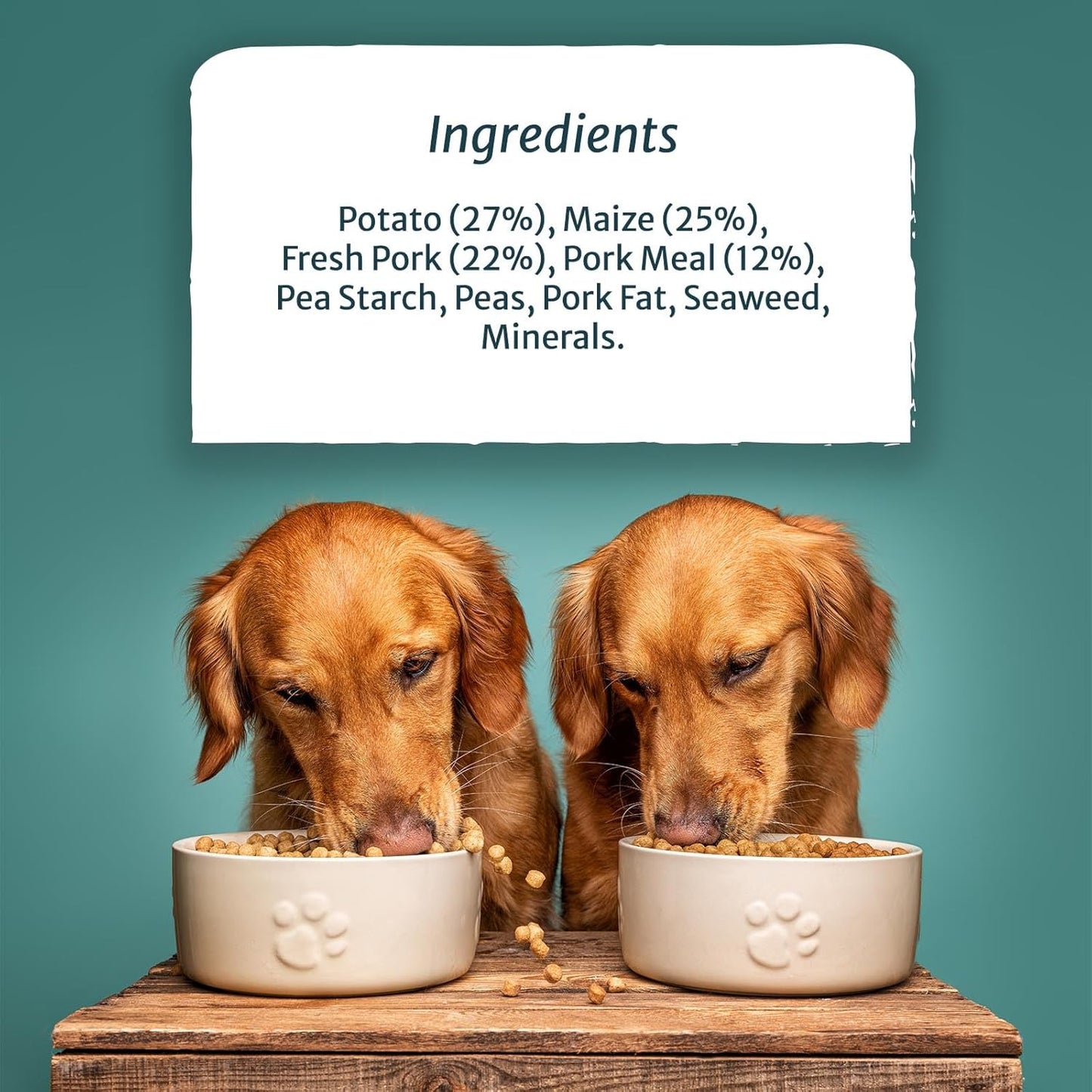 Burns Pet Nutrition Hypoallergenic Complete Dry Dog Food Adult and Senior Dog Sensitive with Pork and Potato 12 kg