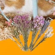 Hamster Dried Flower Bedding - Natural Ear Of Grain Flower - Hamster Bedding Flowers - Hamster Floral Bedding - Habitat Decor Sprays Set For Hamsters, Flower Bedding Habitat Decor, Hamster Accessories