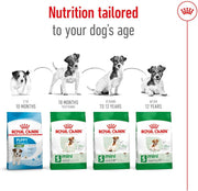 Royal Canin Mini Adult 4kg Dry Dog Food