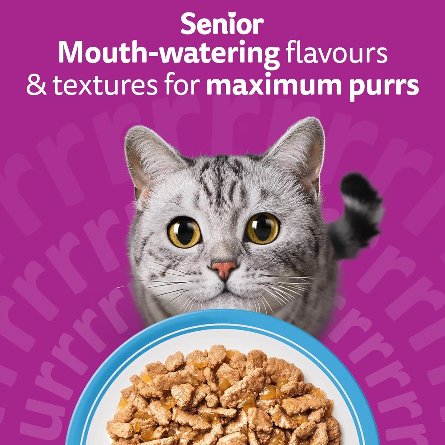 whiskas 7+ Cat Pouches Fish Favourites in Jelly 12x85g