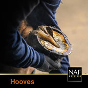 NAF Profeet Farrier Solution 500ml – Hoof Dressing for Horses – Nourishes, Protects & Strengthens Hooves – With Natural Oils & Antibacterial Agents – Easy Brush-On Application