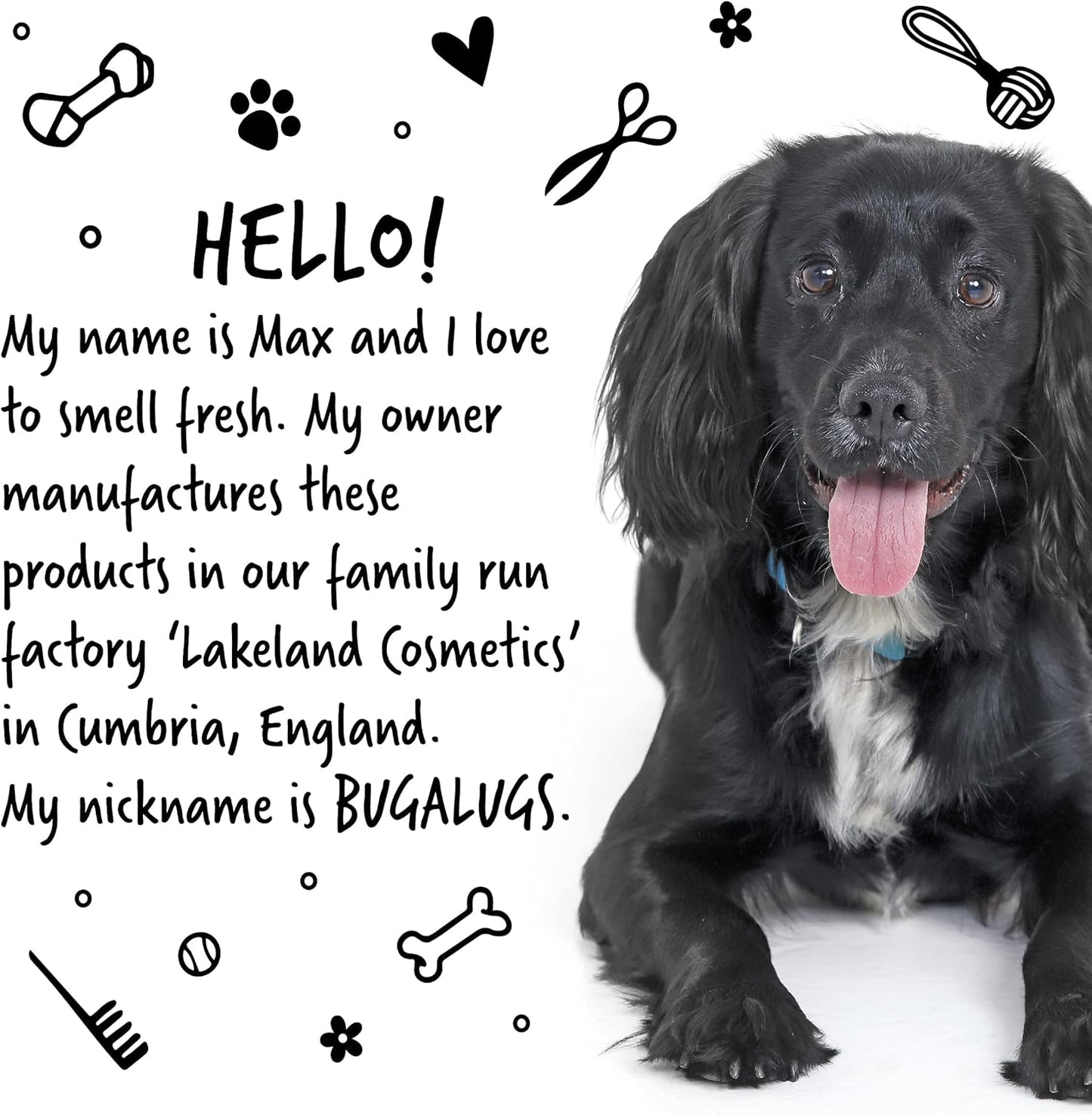 BUGALUGS Itchy Dog Shampoo with Oatmeal & Aloe Vera Dog professional Vegan dog grooming products for smelly dogs with fragrance can use as puppy shampoo (500ml)