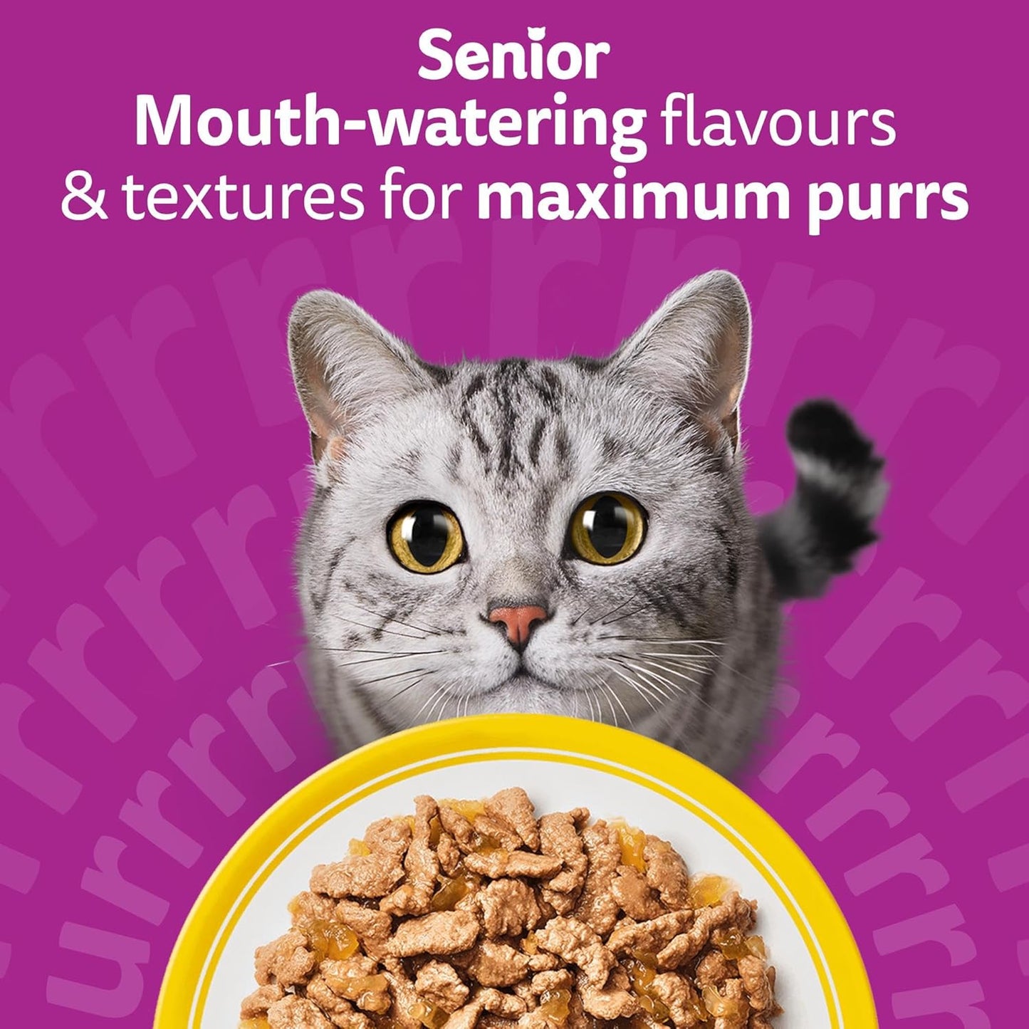 WHISKAS Senior 7+ Wet Cat Food in Jelly 120x85g Poultry Feasts