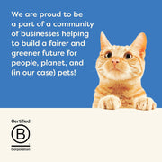 Applaws 100% Natural Wet Cat Food 24 x 70g Tuna Fillet Tins in Broth