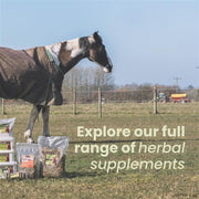 Cleavers & Marigold 1kg Bag | 100% Natural Feed Supplement for Horses & Ponies, Equine Clivers