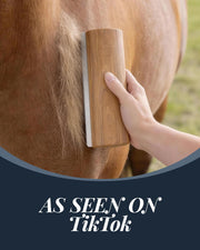 Horse Brush for Grooming, Sturdy Grooming Brushes for Daily Coat Care, Deshedding Tool for Horses