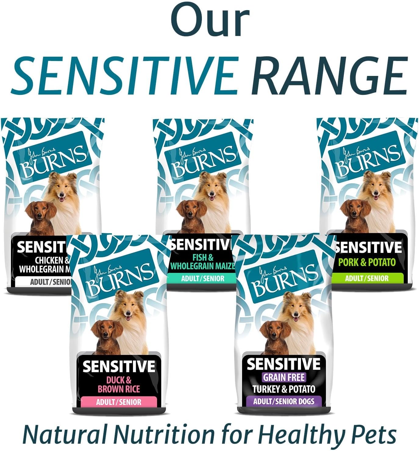 Burns Pet Nutrition Hypoallergenic Complete Dry Dog Food Adult and Senior Dog Sensitive with Pork and Potato 12 kg