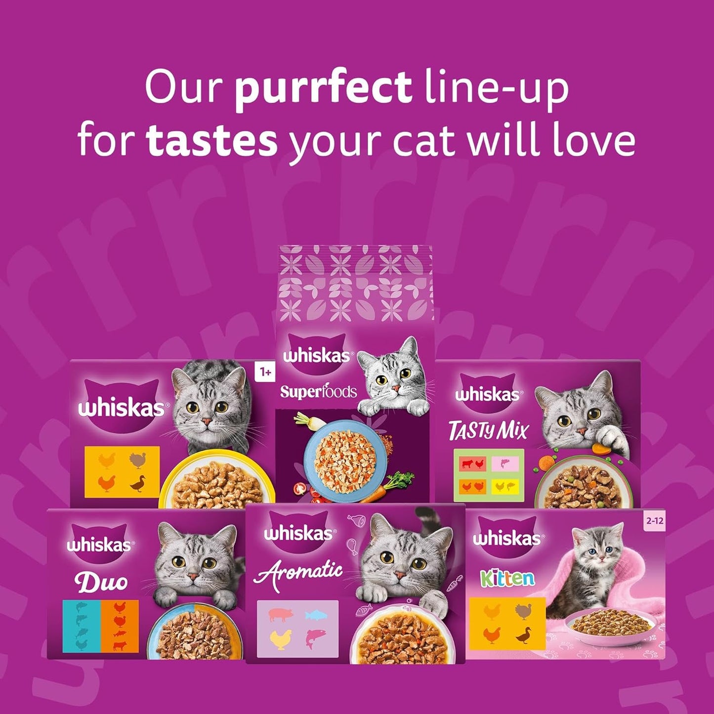 Whiskas Junior Poultry Selection in Jelly 48 x 85 g Pouches, Kitten Cat Food, Pack of 4 (12 x 85 g)