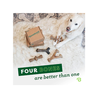 Benebone Indestructible Dog Chew Toy Gift Box for Aggressive Chewers with Wishbone, Fishbone, Stick & Zaggler, Long Lasting Boredom Breakers, 100% Real...